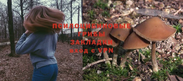 прущие крисы Баксан